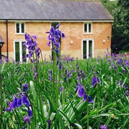 Grooms Cottage Alkham Exterior foto